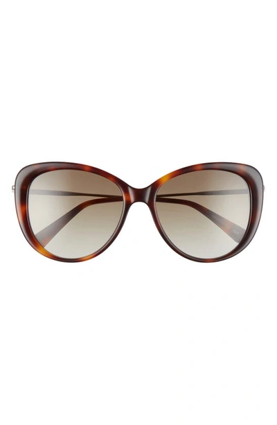 Longchamp 56mm Cat Eye Sunglasses In Havana/ Khaki Gradient