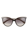 Longchamp 55mm Gradient Cat Eye Sunglasses In Black/ Petrol Sand Gradient