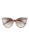 Longchamp 55mm Gradient Cat Eye Sunglasses In Havana Nordic/ Brown Azure