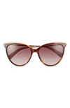 Longchamp 55mm Gradient Cat Eye Sunglasses In Havana/ Brown Rose Gradient