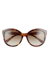 Longchamp 57mm Gradient Round Sunglasses In Havana/ Khaki Gradient