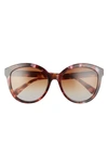 Longchamp 57mm Gradient Round Sunglasses In Pink Tortoise/ Camel Grey