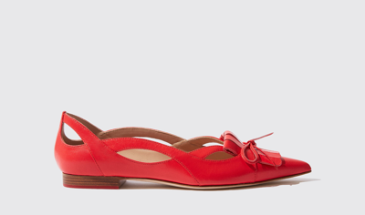 Scarosso Bow-detail Pointed-toe Ballerina Shoes In Red - Calf