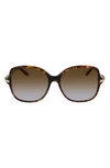 Ferragamo 57mm Gradient Rounded Square Sunglasses In Dark Tortoise/brown Gradient