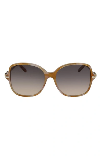 Ferragamo 57mm Gradient Rounded Square Sunglasses In Blonde Havana/ Grey Peach