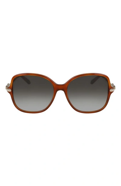 Ferragamo 57mm Gradient Rounded Square Sunglasses In Tortoise/ Khaki