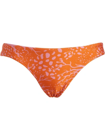 Patbo Coral Print Classic Bikini Bottom - Coral - Size M