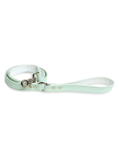 Finn And Me Leather Dog Leash In Mint Matcha