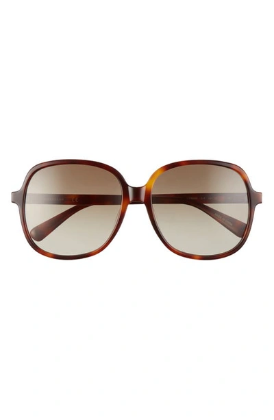 Longchamp 58mm Rectangle Sunglasses In Havana/ Khaki Gradient