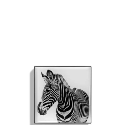 Chantecaille Luminescent Eye Shade 2.5g (various Shades) - Zebra In Zebra 