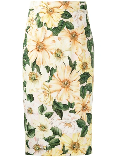 Dolce & Gabbana Camellia Print Stretch Silk Midi Pencil Skirt In Yellow,green,pink