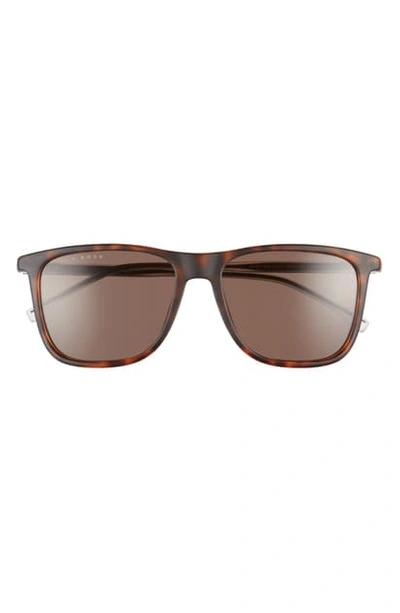 Hugo Boss 56mm Square Sunglasses In Brown Havana/ Brown