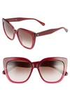 Kate Spade 55mm Kiyannas Cat Eye Sunglasses In Burgundy/ Brown Gradient