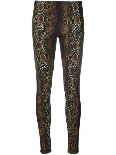 Versace Snakeskin-print Pull-on Leggings In Black
