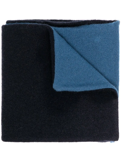 N•peal Two-tone Cashmere Scarf In Blue