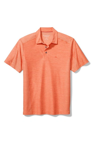 Tommy Bahama Palm Coast Classic Fit Polo In Peach Parrot
