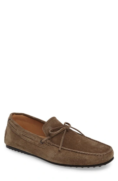 Tod's Gommino Driving Shoe In Tan Suede