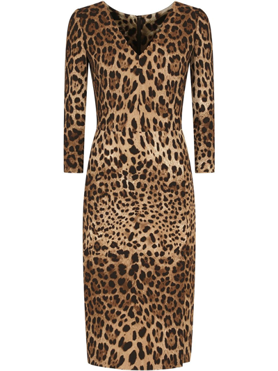 Dolce & Gabbana Leopard-print Cady Midi Dress In Multicolor