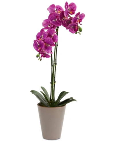 Nearly Natural 24" Speckled Phalaenopsis Orchid Artificial Arrangement With Vase In Purple