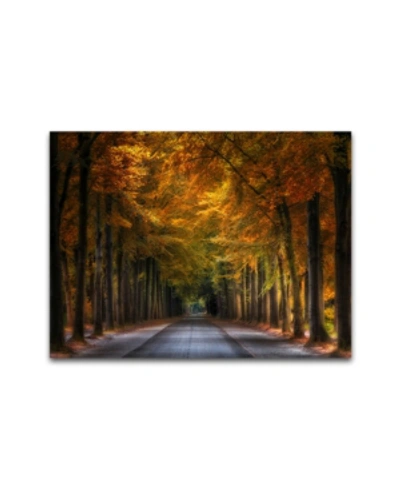 Colossal Images Road Of Wonders, Canvas Wall Art In Pumpkin