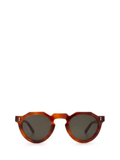 Lesca Pica Sun Light Tortoise Sunglasses In Brown