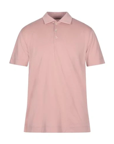 Circolo 1901 1901 Polo Shirts In Pale Pink