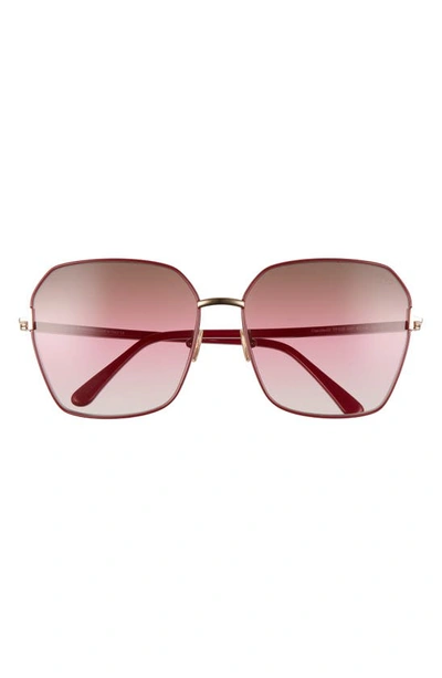 Tom Ford 62mm Claudia Square Sunglasses In Shiny Bordeaux/ Brown Gradient
