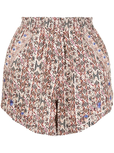 Nicole Miller Partridge Stripe Embroidered Shorts In Brown