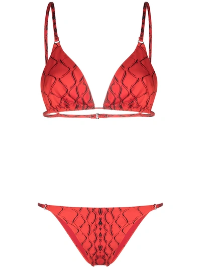 Noire Swimwear Snake Tanning Bikini In Red