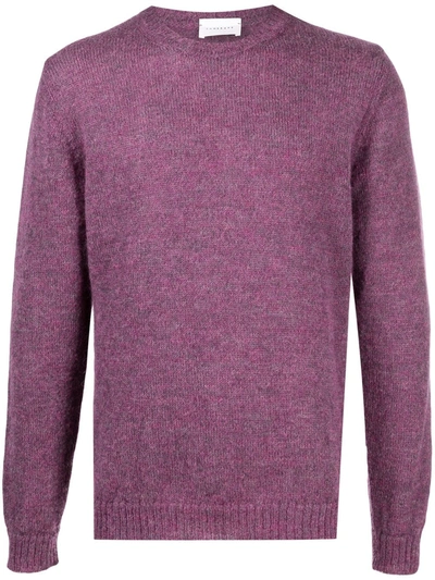 Low Brand Purl-knit Wool-blend Jumper In Purple
