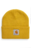 Carhartt Short Watch Hat In Colza