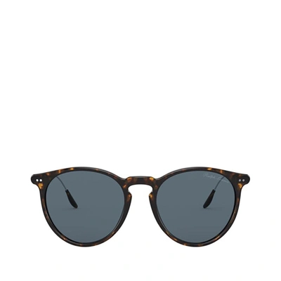 Ralph Lauren Rl8181p Shiny Dark Havana Male Sunglasses