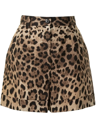 Dolce & Gabbana Leopard-print Cotton-blend Shorts In Multicolor