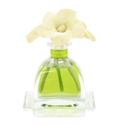 Agraria Lime And Orange Airessence Diffuser (218ml)