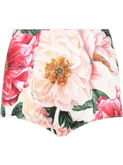 Dolce & Gabbana Camelia Print High Waist Satin Briefs In Pink,multi