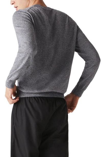 Lacoste Solid Cotton Jersey Crewneck Sweater In Eclipse Jasper