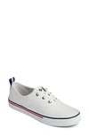 Sperry Crest Cvo Sneaker In White Canvas