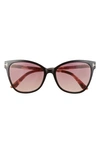 Tom Ford Ani 58mm Gradient Cat Eye Sunglasses In Black/ Bordeaux Gradient
