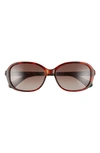 Kate Spade Izabella 55mm Gradient Oval Sunglasses In Dark Havana/ Brown Gradient