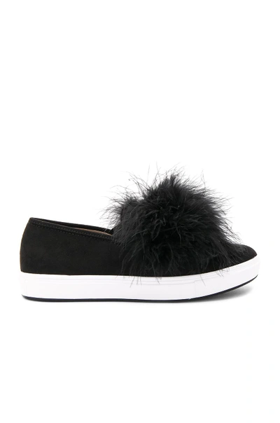 Steve Madden Emily Pom Pom Sneakers In Black | ModeSens