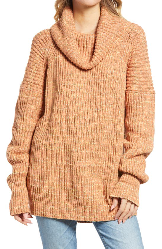 leo tunic sweater