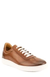 Gordon Rush Tristan Sneaker In Cognac Leather
