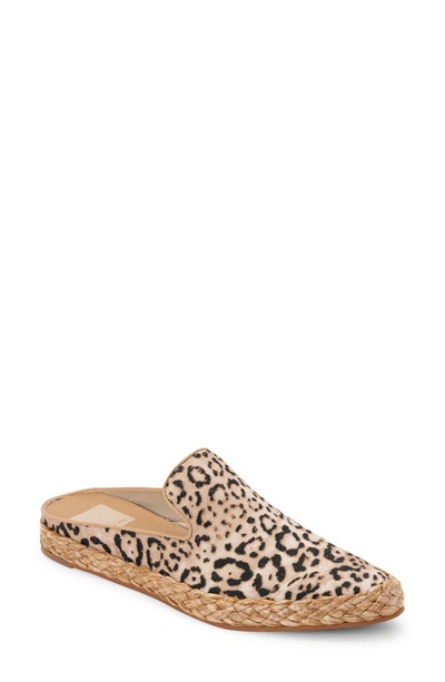 Dolce Vita Odis Slip-on Jute Mules Women's Shoes In Beige Leopard Canvas