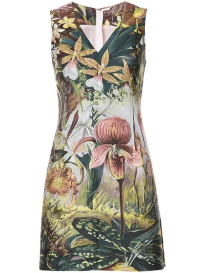 Adam Lippes Sleeveless Jungle-print Mini Dress, Multi
