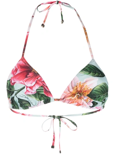 Dolce & Gabbana Camellia Print Triangle Bikini Top In Aqua Camellia