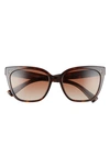 Valentino 55mm Gradient Square Cat Eye Sunglasses In Havana/ Brown Gradient