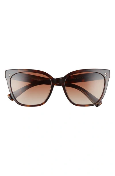 Valentino 55mm Gradient Square Cat Eye Sunglasses In Havana/ Brown Gradient