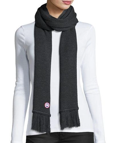 Canada Goose Wool Fringe Scarf In Graphite