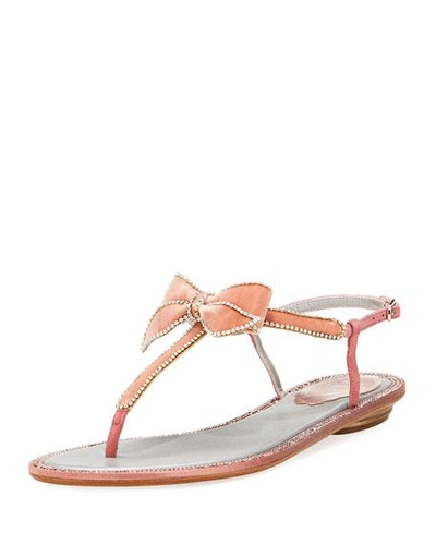 René Caovilla Crystal-trim Velvet Bow Flat Sandal, Pink Pattern