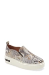 Linea Paolo Kai Platform Sneaker In Off White Snake Print Leather